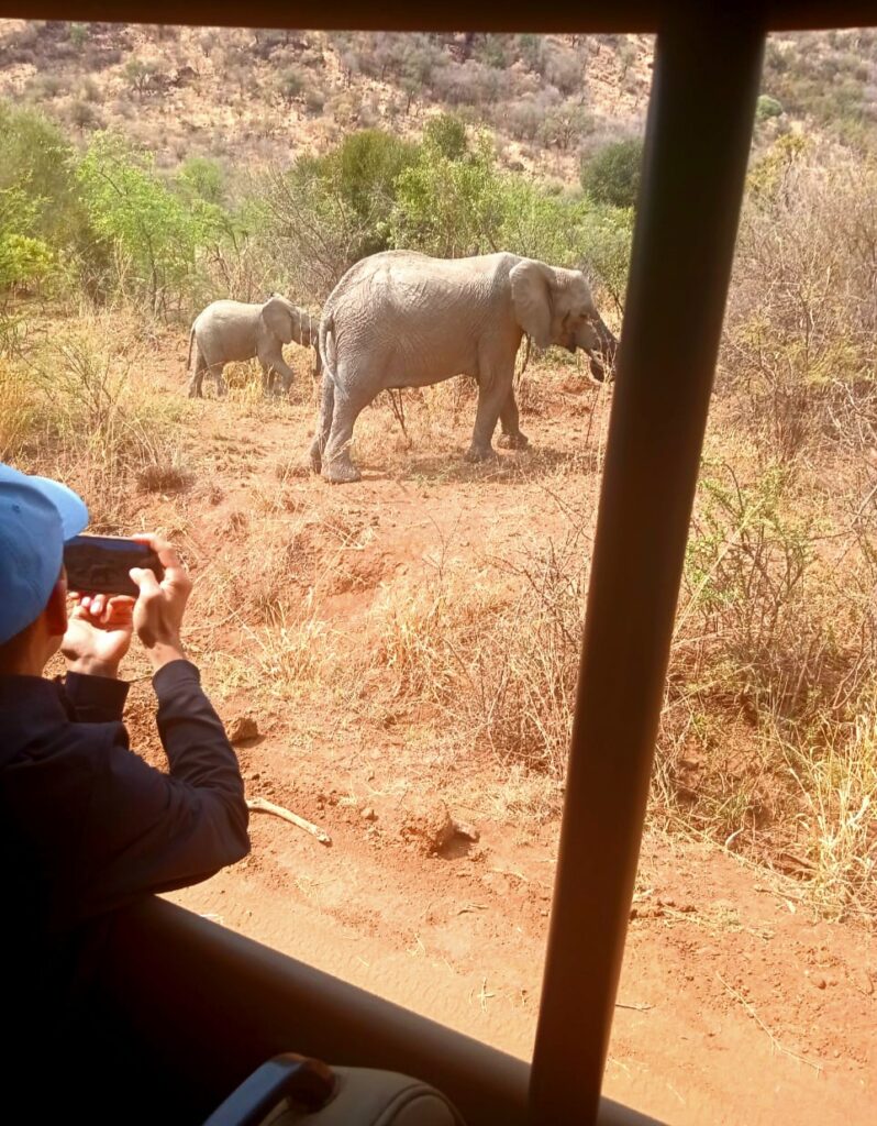 Siyazuza em tourism pilanesberg safari