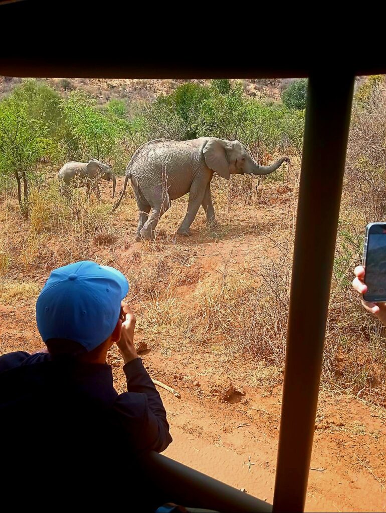 Siyazuza em tourism pilanesberg safari